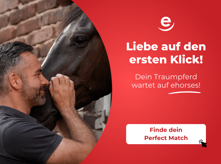 Dressurreiten: Alles über die Reitdisziplin | ehorses Magazin