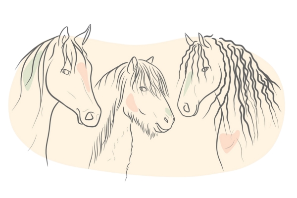 DNA Test beim Pferd: Generatio ist dein verlässlicher Partner