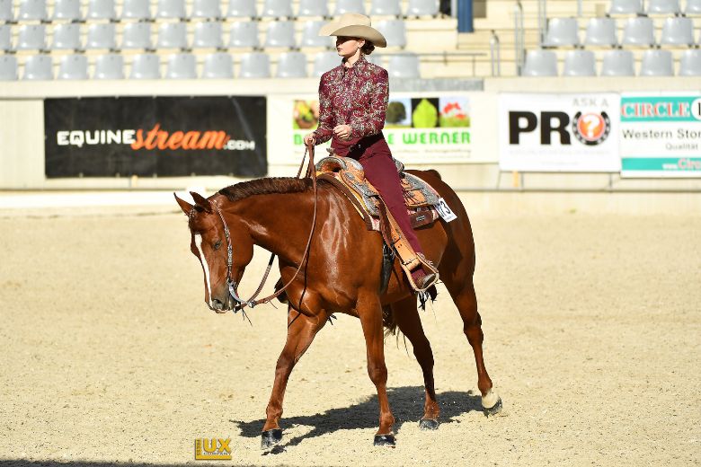 DQHA: American Quarter Horse wird in Arena geritten