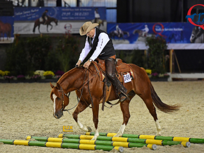 DQHA: American Quarter Horse wird in Arena geritten