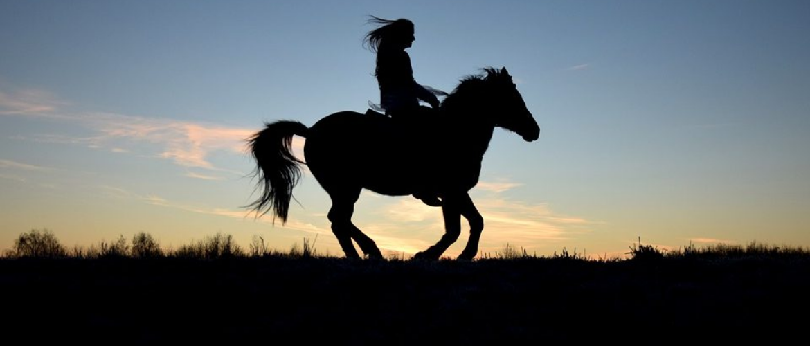 Reiten ohne Sattel – ja oder nein?