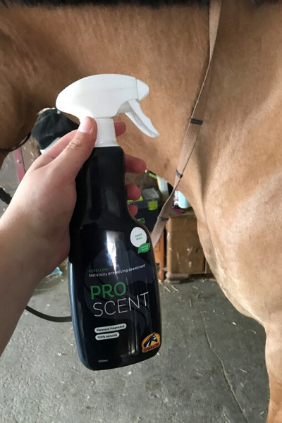 Cavalor Produkttest