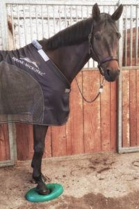 Equine Microtec