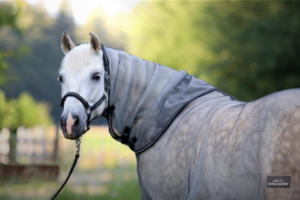 Equine Microtec