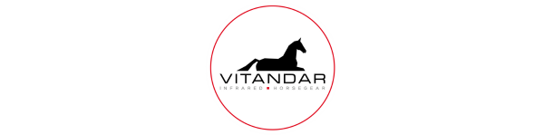 LOGO VIITANDAR