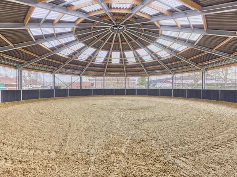 Die Innenaufnahme zeigt ein helles, rundes Reitzelt (Roundpen). Der Boden besteht aus feinkörnigem Sand mit sichtbaren Hufspuren. Eine dunkle Bande umschließt die Kreisfläche, während die Decke durch eine symmetrische, speichenartige Holz- und Metallkonstruktion mit integrierten Lichtbändern besticht.