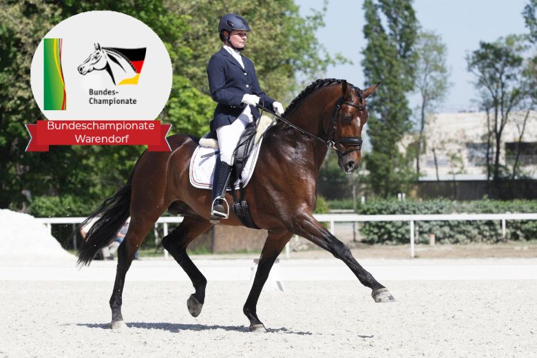 Bundeschampionat: Dressurpferd