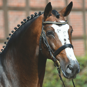 Balou du Rouet