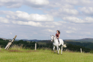 Frau reitet auf Pferd