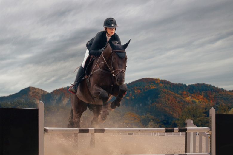Deutsche Meisterschaft: Pferd springt über einen Sprung