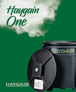 Pferd hustet: Haygain Produkt