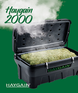 Pferd hustet: Haygain Produkt