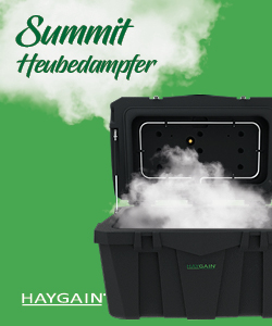 Pferd hustet: Haygain Produkt