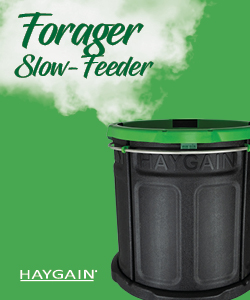 Pferd hustet: Haygain Produkt