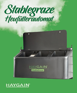 Pferd hustet: Haygain Produkt