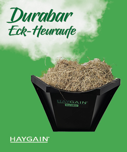 Pferd hustet: Haygain Produkt
