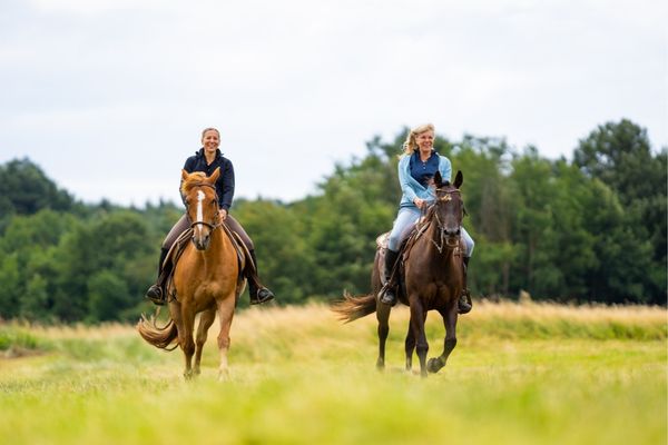 Englische Reitweise und Westernreiten