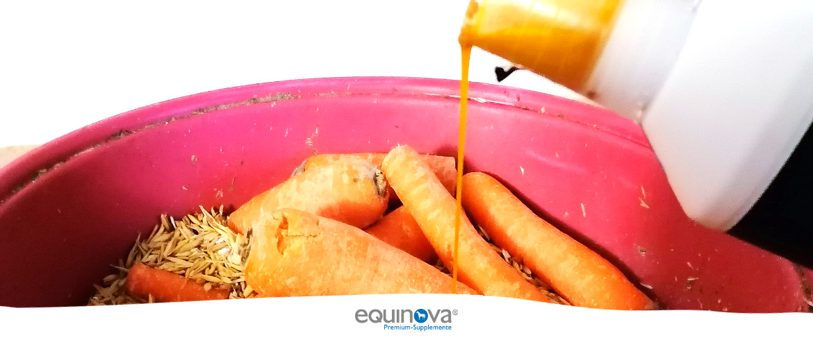 Erfahrungen mit den Produkten aus dem equinova® Supplement-Sortiment