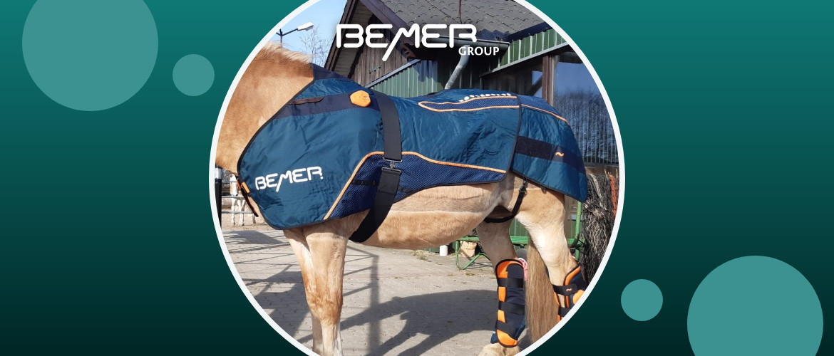 Erfahrungen mit dem BEMER Horse-Set