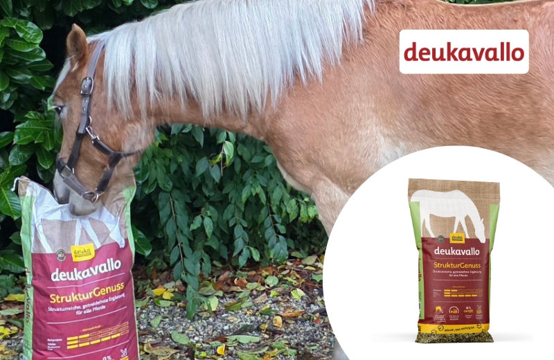 Erfahrungen deukavallo StrukturGenuss