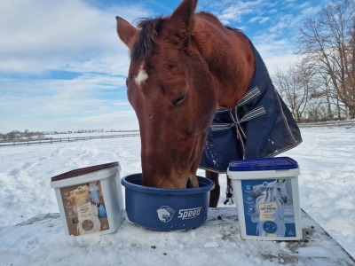 Erfahrungen mit SPEED CLINIC 0126(1)