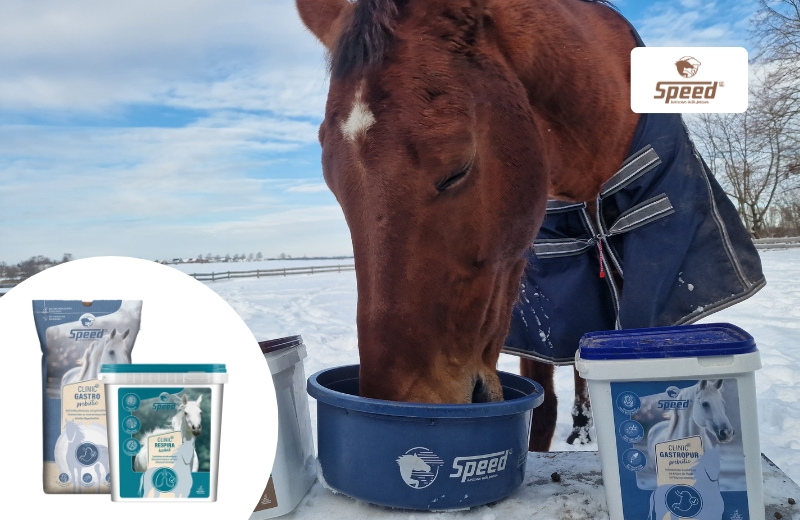 Erfahrungen mit SPEED CLINIC: Pferd frisst SPEED CLINIC Produkte