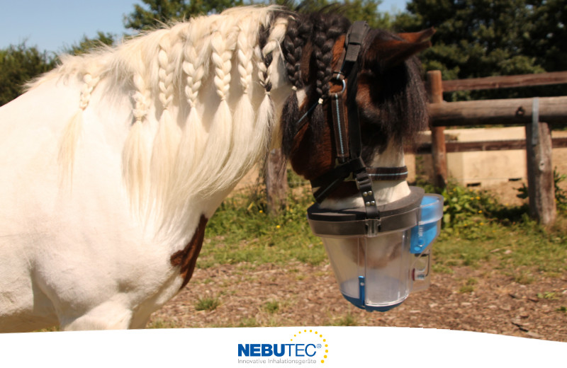 Erfahrungen mit dem Inhalationsgerät von NEBU-TEC