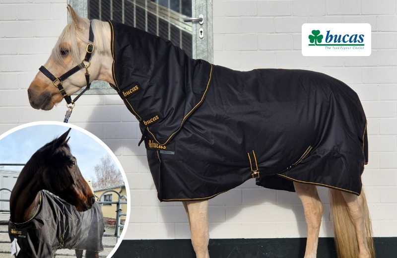 Erfahrungen mit der Bucas Irish Turnout Decke Header