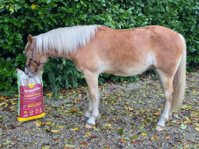 Erfahrungen mit deukavallo Strukturgenuss