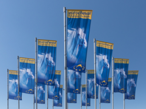 Eurocheval (3)