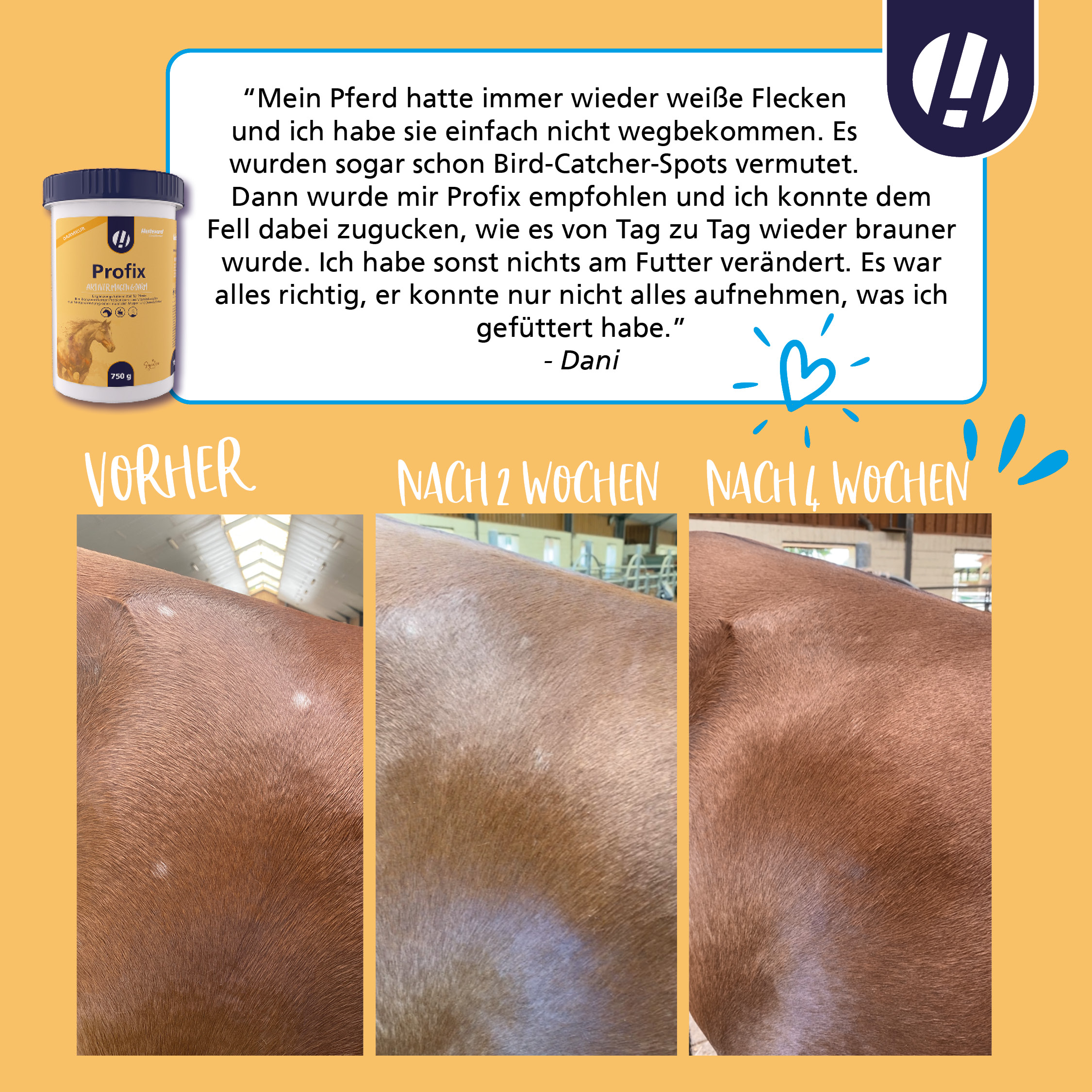 ehorses Produkt des Monats: Profix - Feedack von Dani