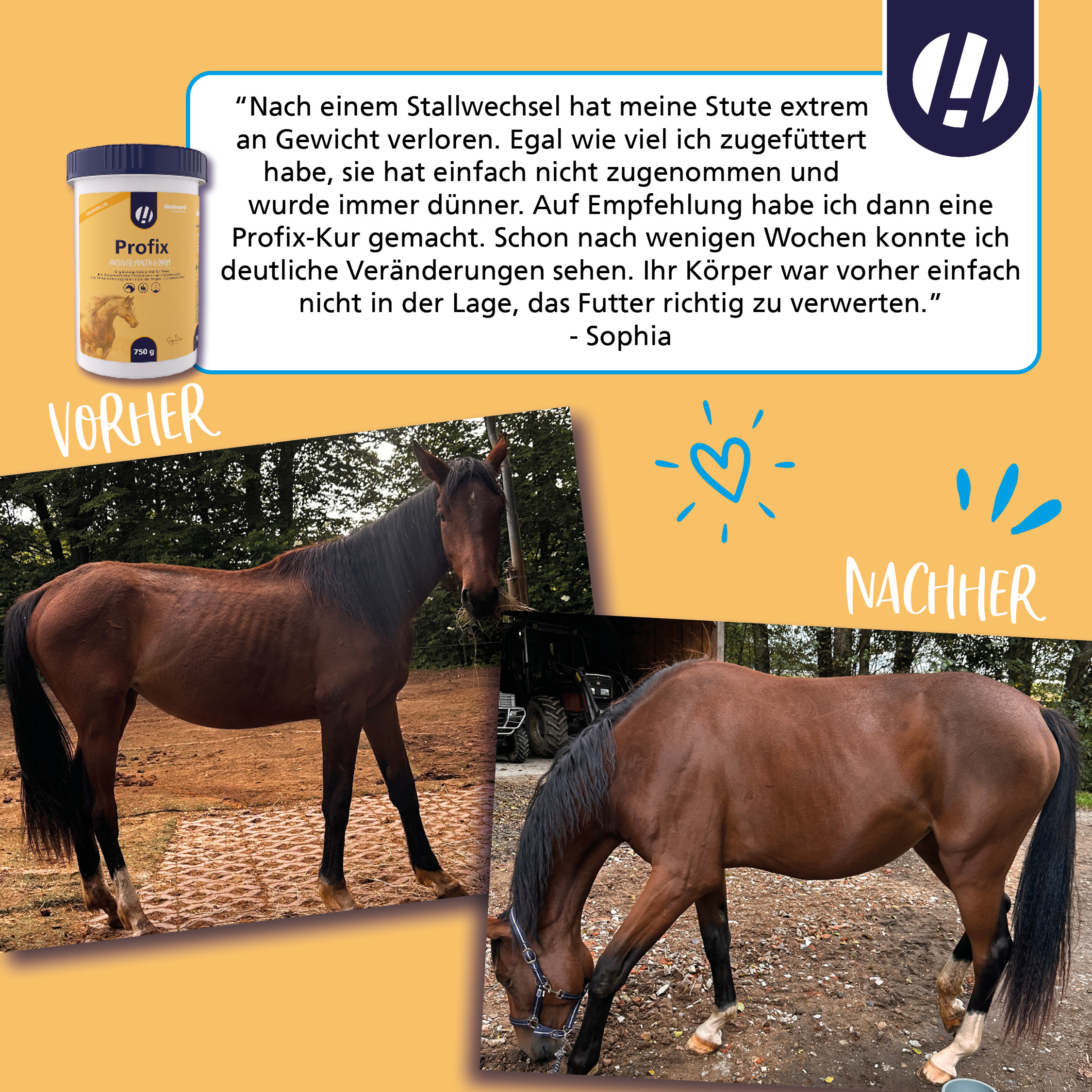 ehorses Produkt des Monats: Profix - Feedack von Sophia