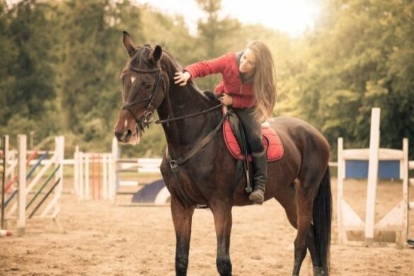 Fotoshooting Pferd Ideen: Reiterin streichelt ihr Pferd.