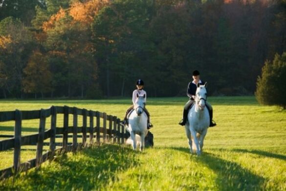 Fotoshooting Pferd Ideen: Zwei Reiter auf Pferden reiten aus.