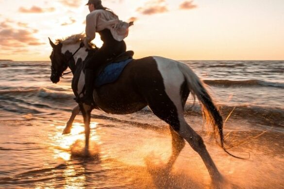 Fotoshooting Pferd Ideen: Pferd mit Reiter galoppiert am Strand.