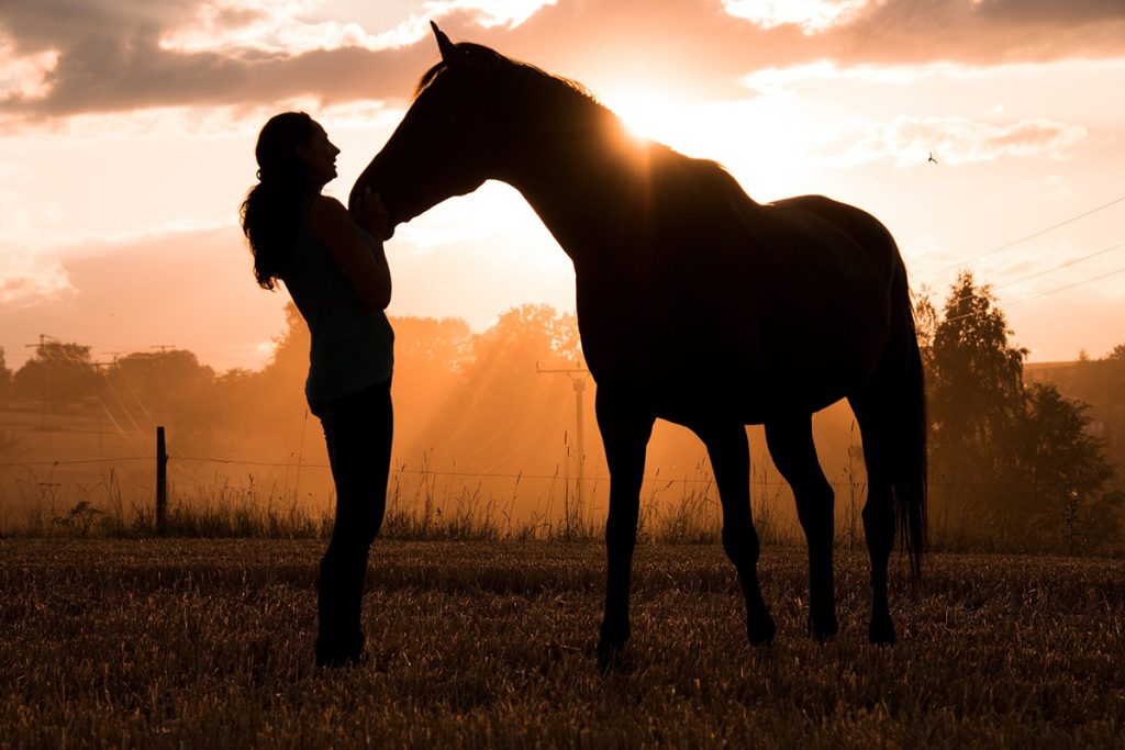 Pferd mit Frau im Sonnenuntergang