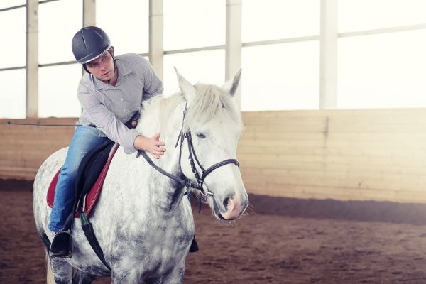 Gelassenheitstraining Pferd: Reiter legt Hand aufs Pferd.