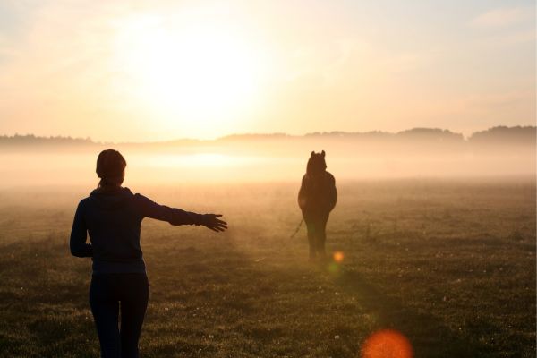 Gelassenheitstraining Pferd: Reiterin und Pferd im Sonnenuntergang.