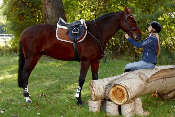 Gelassenheitstraining Pferd: Reiterin sitzt und streichelt Pferd.