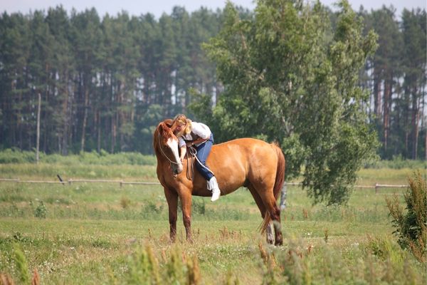 Halsringreiten startest Du am besten mit zusätzlicher Unterstützung von Halfter oder Trense