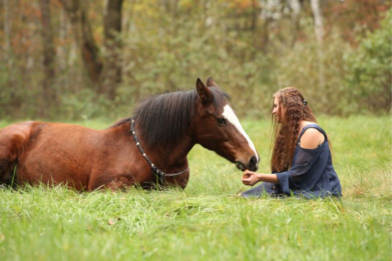 Halsringreiten – Tipps zum Start