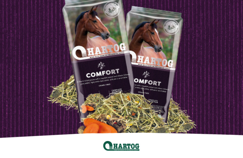 Aktuell im Test: Das Hartog Comfort