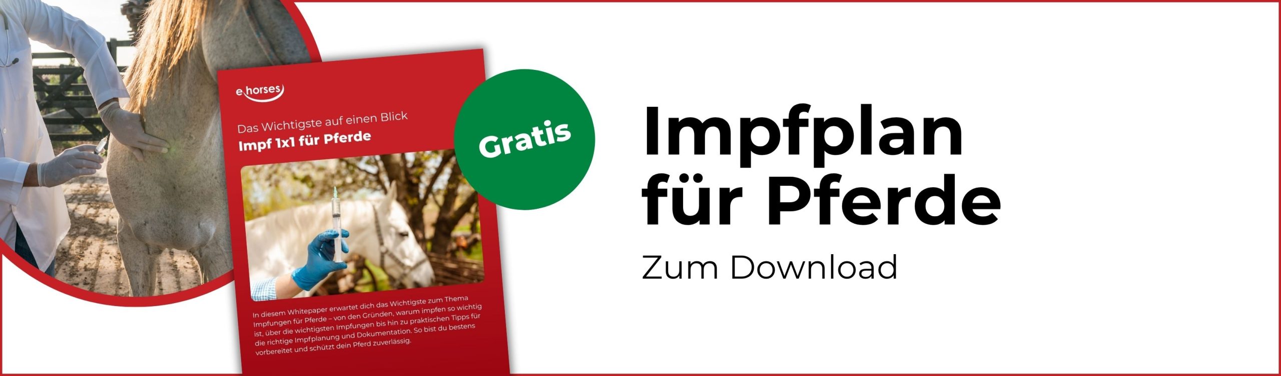 Impfplan für Pferde