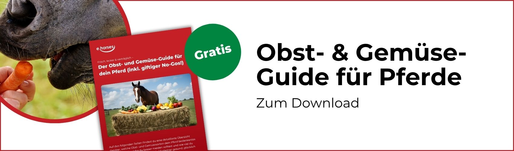 Obst und Gemüse Guide für Pferde