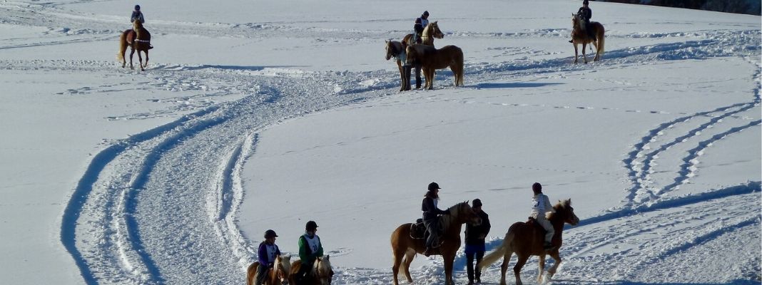 Warm aufs Pferd – Reiten im Winter