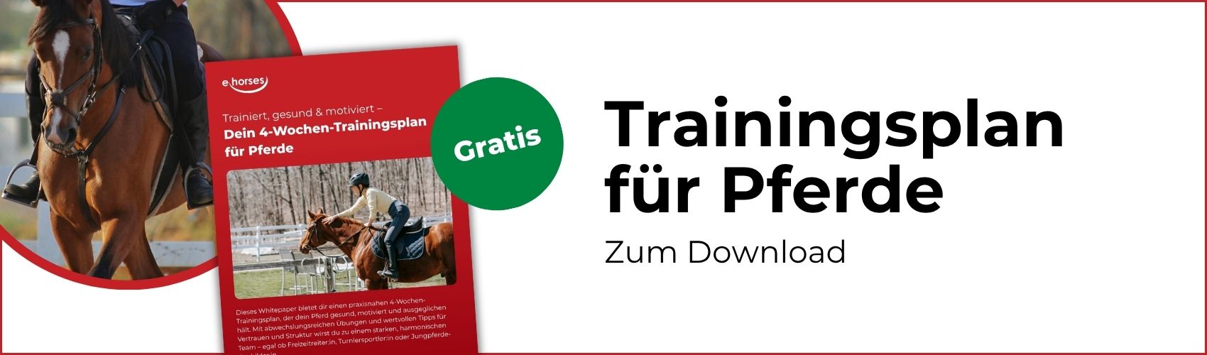 Trainingsplan für Pferde