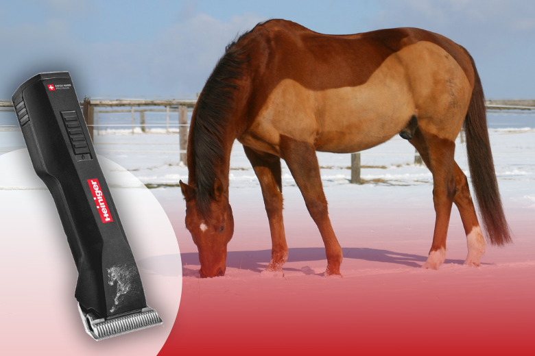 Pferd scheren: Produkt des Monats von Heiniger