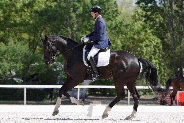 Reiter auf einem Pferd reitet auf einem Reitplatz.