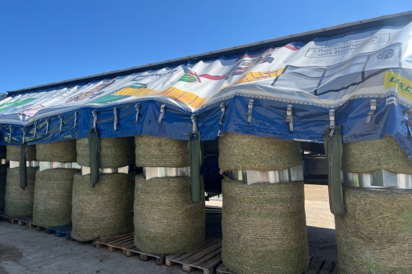 Heu trocknen: Heuballen gestapelt unter Planen