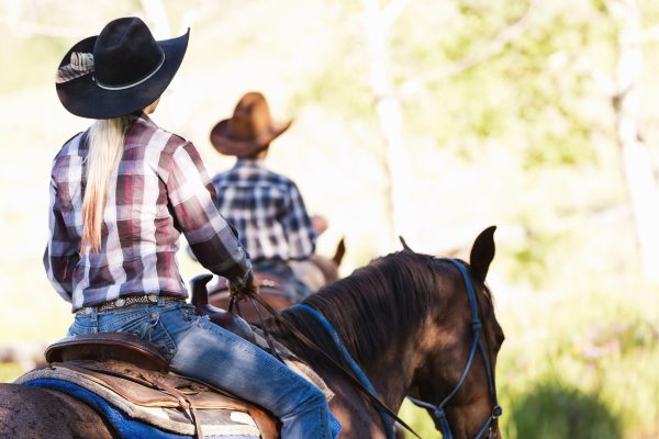 Westernreiten: Die Hilfengebung